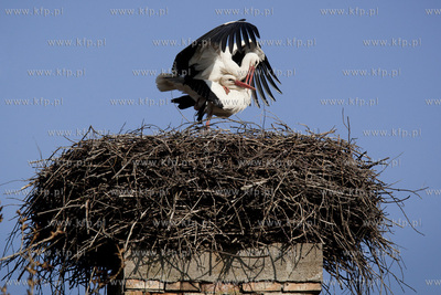 Tykocin nad Narwia. Pod koniec kwietnia zaczynaja sie...