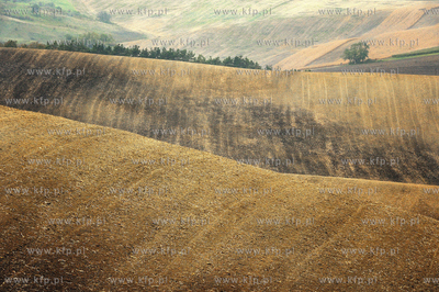 Morawy. Czechy. Okolice miejscowosci Kijev. Nz. pola...