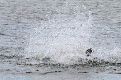 Rewa. Ostatni weekend wakacji okazal sie bardzo udany...