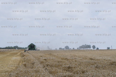Żniwa we wsi Lignowy w powiecie Tczewskim na Kociewiu.
30.07.2019...