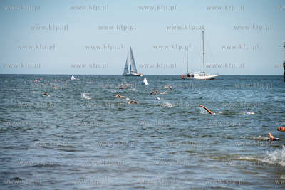 Wyścig pływacki dookoła mola w Sopocie. 20.07.2024....