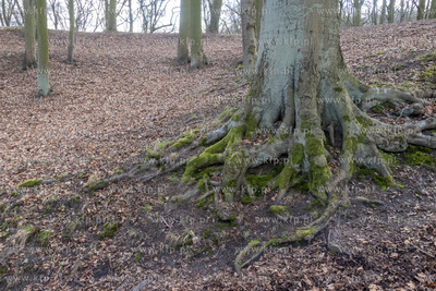 Park Ferberów w okolicach Traktu św. Wojciecha w...