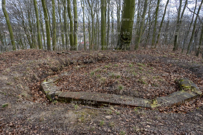 Park Ferberów w okolicach Traktu św. Wojciecha w...