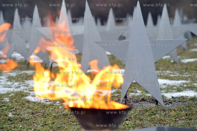 Uroczystosci 64. rocznicy Powrotu Gdanska do Macierzy....