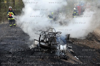 Na lesnej drodze pomiedzy Sulminem gmina Zukowo, a...