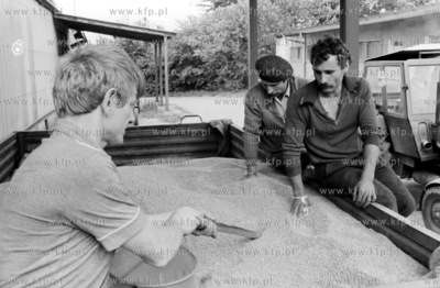 Rozladunek zboza w Sztumie 10.1991 6pazdziernik91_m.kosycarz_p53...