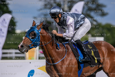 Sopocki Hipodrom. Wyścigi konne. Gonitwa o
Puchar...