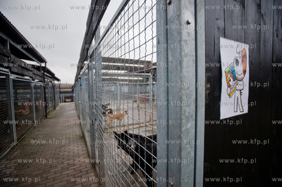 Gdansk. Schronisko dla bezdomych zwierzat Promyk. Akcja...