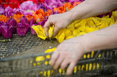 Mokry Dwor. Przygotowania do kolejnej edycji imprezy...