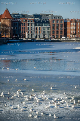 Gdańsk. Mroźny, słoneczny, zimowy dzień. Minusowe...