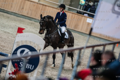Hipodrom Sopot. Hala Pomarańczowa. Halowe Zawody w...