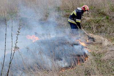 Pozar malarni firmy Indusco przy ul. Hutniczej w Gdyni,...