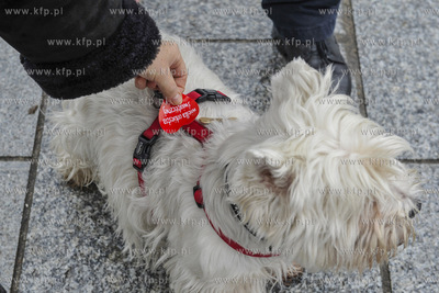 Sopot. Wielka Orkiestra Swiatecznej Pomocy w Sopocie....