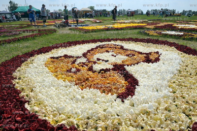 Zulawski Tulipan -  piata edycja imprezy zorganizowanej...