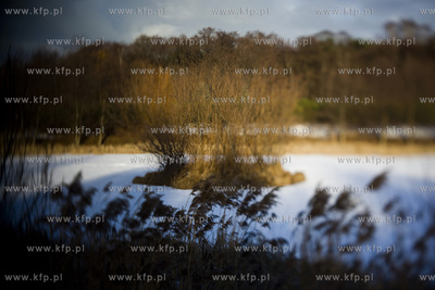 Park Ronalda Reagana.
20.01.2016
fot. Krzysztof Mystkowski...