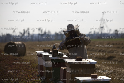 Skutki nawałnicy, która z piątku na sobotę przeszła...
