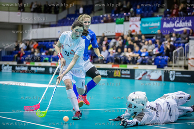 Hala AWFiS w Gdańsku. Eliminacje mistrzostw świata...