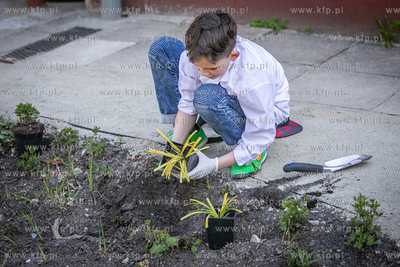 Sopot. Szkoła podstawowa nr. 1. Warsztaty z budowy...