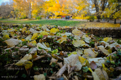 Gdansk. Park Jelitkowski.
06.11.2011
fot. Mateusz...