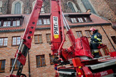 Gdansk. Akcja ratunkowa kaczki krzyzowki oraz jej nowo...