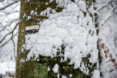 Sniezny zimowy dzien nad jeziorem Otominskim.
21.01.2016
fot....