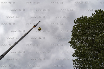 Gdynia. Bungee w Parku Rady Europy.07.07.2019 Fot....
