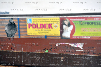Dworzec autobusowy PKS w Gdansku. Hala dworca, golab...