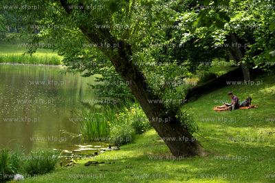 XV Wielki Festyn Rodzinny z okazji Dnia Dziecka w Parku...