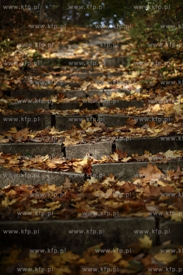 Schody, ktore zostały zbudowane z kamiennych plyt...