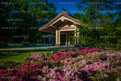 Park Oliwski.Ogród Japoński.
11.06.2021
fot. Krzysztof...