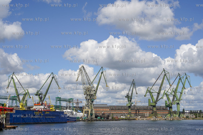 Gdańsk. Żurawie i tereny stoczniowe. 09.07.2020 fot....