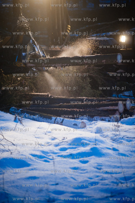Gdansk. Rebiechowo. Nocna wycinka drzew pod budowe...