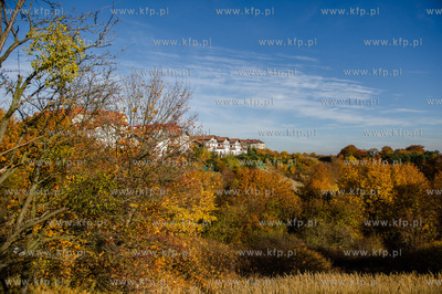 Gdansk. Jesienne, sloneczne przedpoludnie w Parku Orunskim.
27.10.2015
fot....