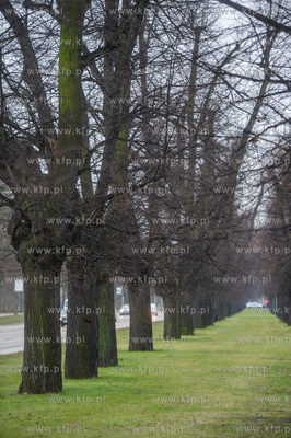 Gdańsk. Znajdująca się w ciągu Alei Zwyciestwa,...