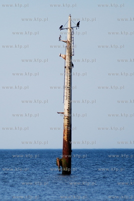 Miejscowosc Ulinia w gminie Wicko. Nz. Wystajace z...