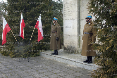 Warta honorowa pod pomnikiem na cmentarzu wojennym...