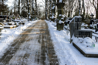 Cmentarz komunalny Salvator Nowy przy ulicy Cmentarnej...