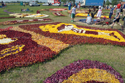 Zulawski Tulipan -  piata edycja imprezy zorganizowanej...