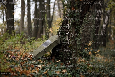 Gdansk - Wrzeszcz. Zapomniany cmentarz urnowy z poczatku...