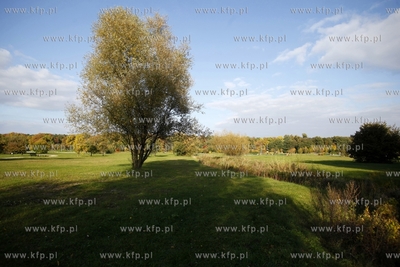 Gdansk. Park Ronalda Reagana.
09.10.2013
fot.Krzysztof...