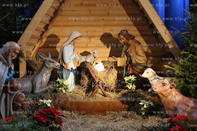Szopka Bozonarodzeniowa w Katedrze Oliwskiej. 29.12.2014...