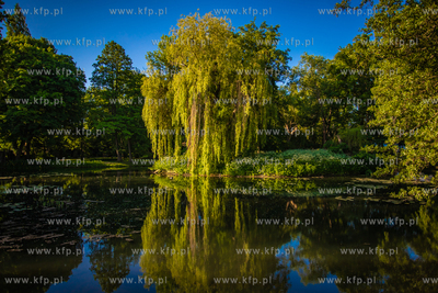 Park Oliwski.
11.06.2021
fot. Krzysztof Mystkowski...