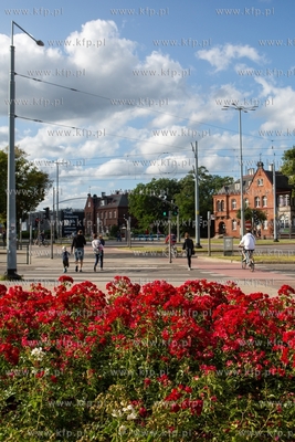 Gdańsk. Klomb z różami na skrzyżowaniu ulic:  Al....