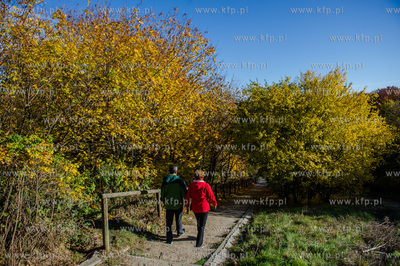 Gdansk. Jesienne, sloneczne przedpoludnie w Parku Orunskim.
27.10.2015
fot....