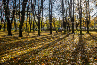 Gdańsk. Jesien w Parku Steffensa.
30.10.2016
fot....