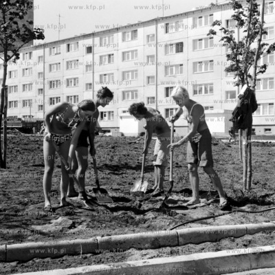 Przygotowanie terenu pod zielence na gdanskiej Zaspie....