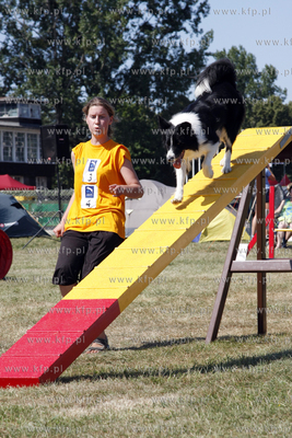 Sopocka Wystawa Psow Rasowych. W trakcie wystawy odbywaly...