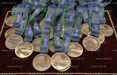 Ergo Arena. Gdansk. PlusLiga. Mercz finalowy. LOTOS...