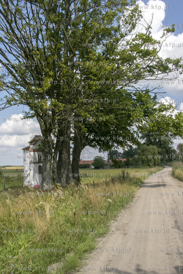 Wieś Wapnik na Warmii. Przy polnej drodze w kierunku...