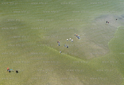 Marsz Sledzia odbywa sie Rybitwia Mielizna (Rewa Mew)...